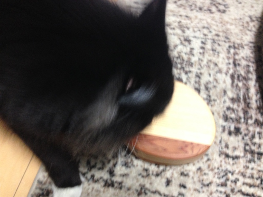 f:id:oyakitoneko:20151018151148j:image f:id:oyakitoneko:20151018151148j:image