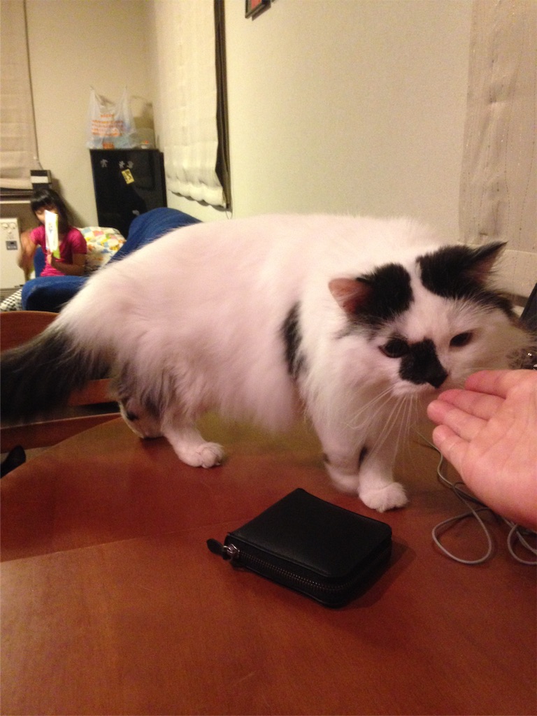 f:id:oyakitoneko:20160413204812j:image f:id:oyakitoneko:20160413204812j:image