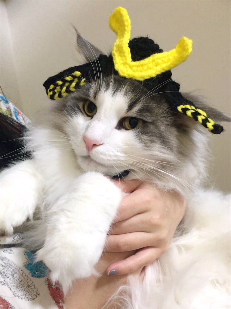 f:id:oyakitoneko:20160512104813j:image f:id:oyakitoneko:20160512104813j:image