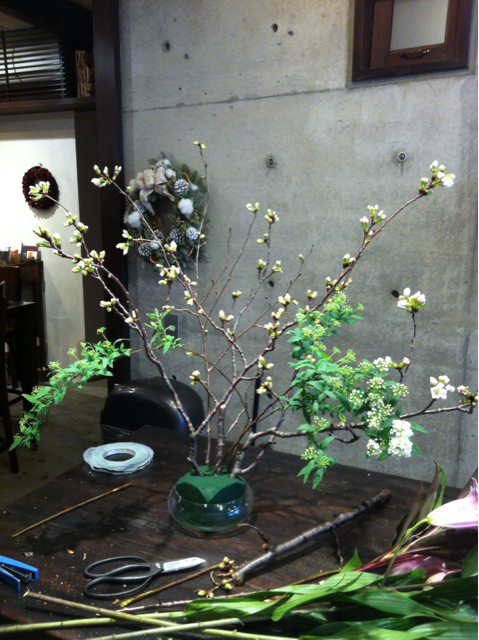 f:id:oyako-kitchen268:20130307200947j:plain f:id:oyako-kitchen268:20130307200947j:plain