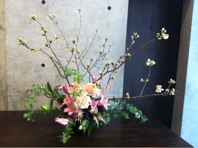 f:id:oyako-kitchen268:20130307201313j:plain f:id:oyako-kitchen268:20130307201313j:plain