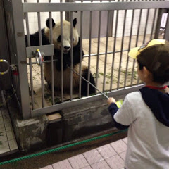 f:id:oyako-kitchen268:20130314093106j:plain f:id:oyako-kitchen268:20130314093106j:plain