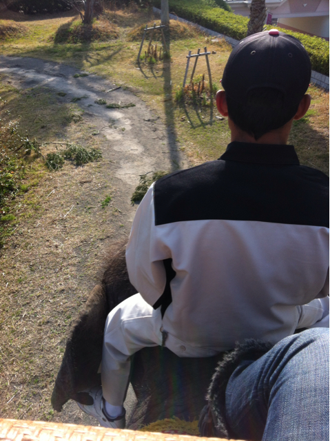 f:id:oyako-kitchen268:20130314103307j:plain f:id:oyako-kitchen268:20130314103307j:plain