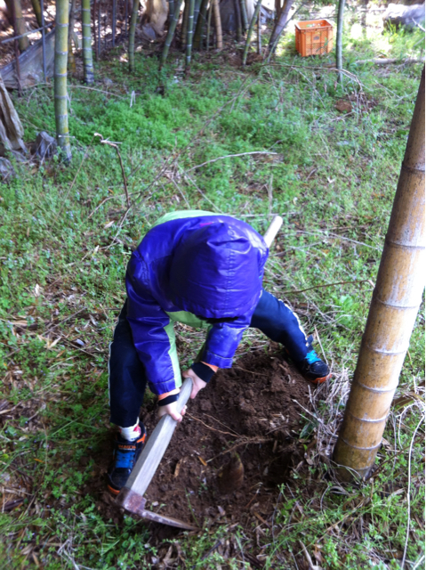 f:id:oyako-kitchen268:20130402140100j:plain f:id:oyako-kitchen268:20130402140100j:plain
