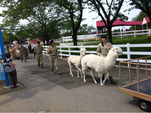 f:id:oyako-kitchen268:20130430004425j:plain f:id:oyako-kitchen268:20130430004425j:plain