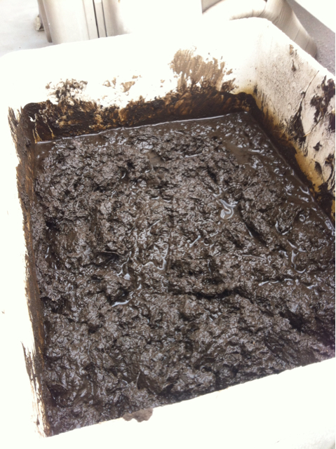 f:id:oyako-kitchen268:20130502202612j:plain f:id:oyako-kitchen268:20130502202612j:plain