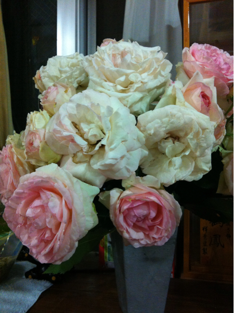 f:id:oyako-kitchen268:20130608211851j:plain f:id:oyako-kitchen268:20130608211851j:plain