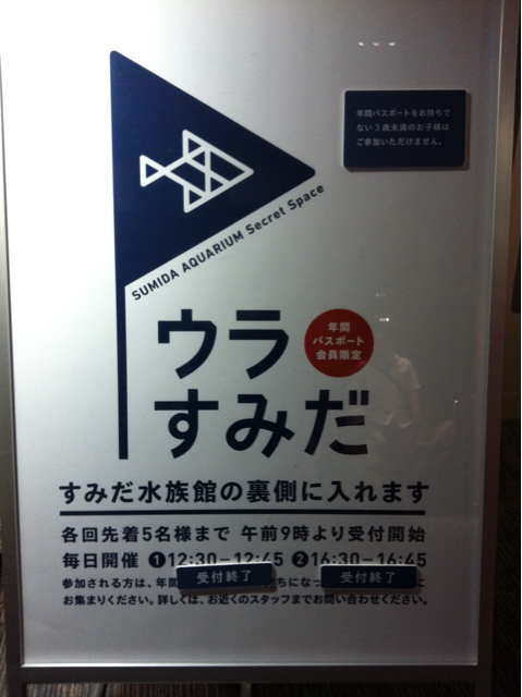 f:id:oyako-kitchen268:20130819154705j:plain f:id:oyako-kitchen268:20130819154705j:plain