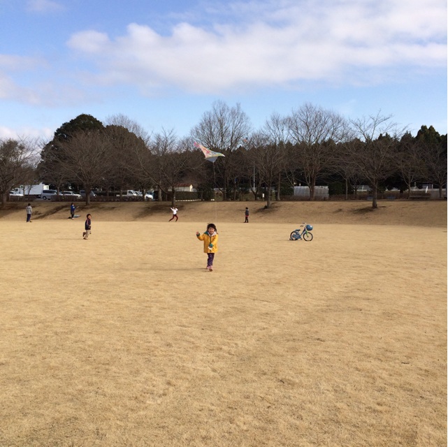 f:id:oyako-kitchen268:20140106201244j:plain f:id:oyako-kitchen268:20140106201244j:plain