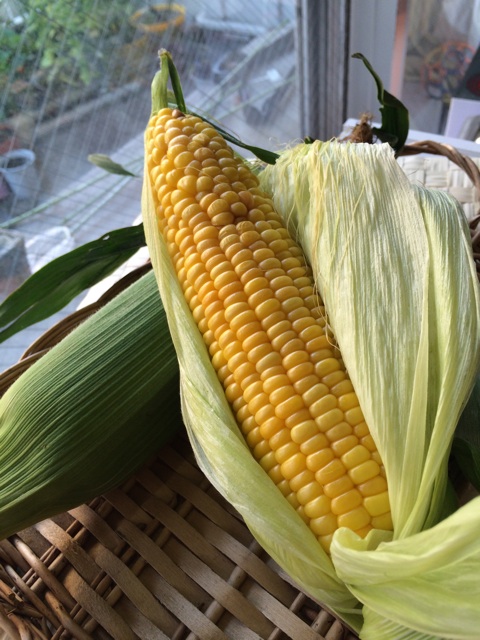f:id:oyako-kitchen268:20140620220312j:plain f:id:oyako-kitchen268:20140620220312j:plain