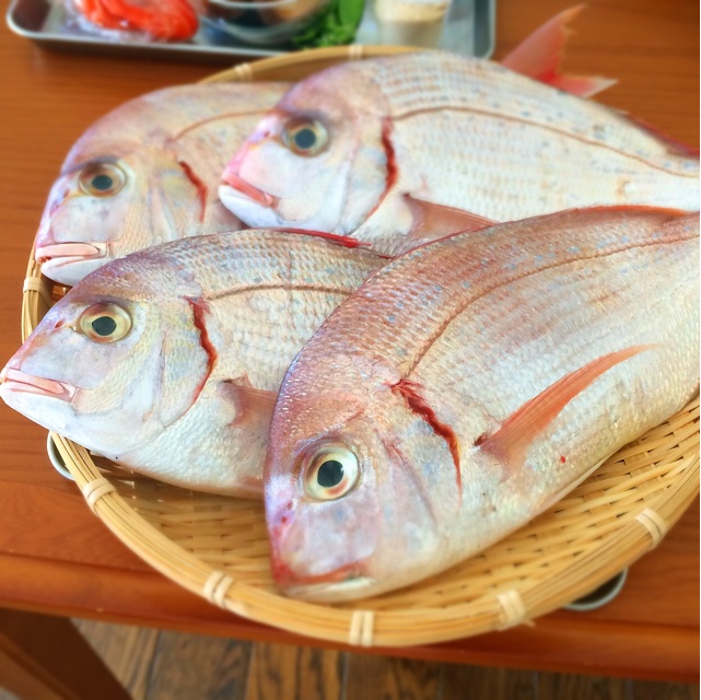 f:id:oyako-kitchen268:20141114210159j:plain f:id:oyako-kitchen268:20141114210159j:plain