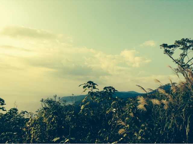 f:id:oza-bou:20131225001822j:plain