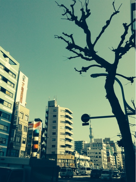 f:id:oza-bou:20140128221051j:plain f:id:oza-bou:20140128221051j:plain