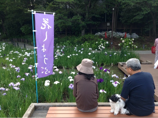 f:id:oza-bou:20140610223618j:plain