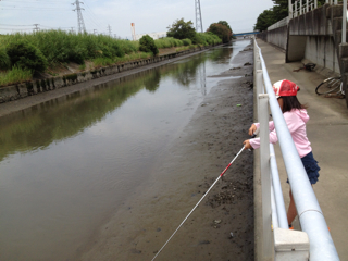 f:id:paintpro-orihara:20130801064757j:plain f:id:paintpro-orihara:20130801064757j:plain