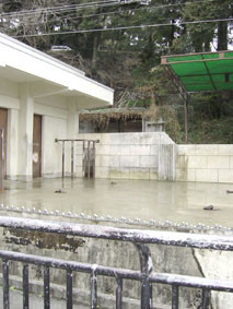 f:id:palop:20080315005250j:image f:id:palop:20080315005250j:image