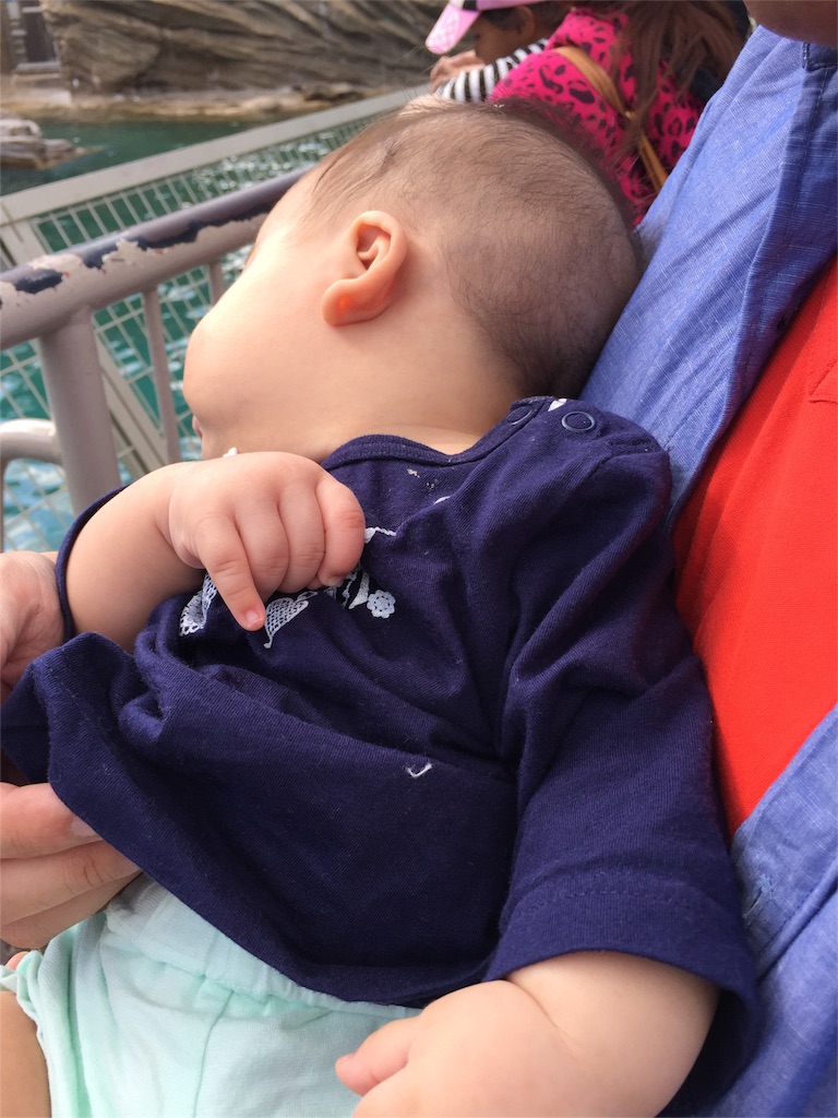 f:id:pamuchomu:20151012171955j:image f:id:pamuchomu:20151012171955j:image