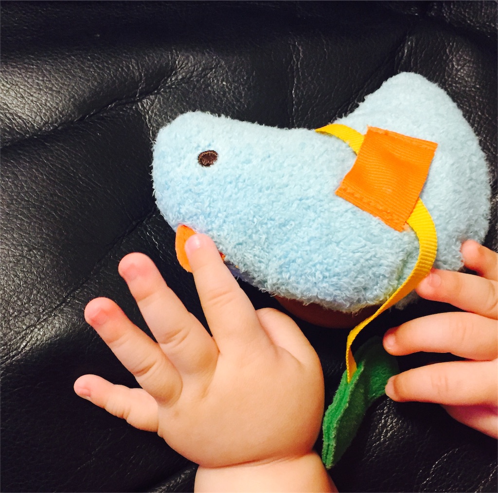 f:id:pamuchomu:20151015234930j:image f:id:pamuchomu:20151015234930j:image