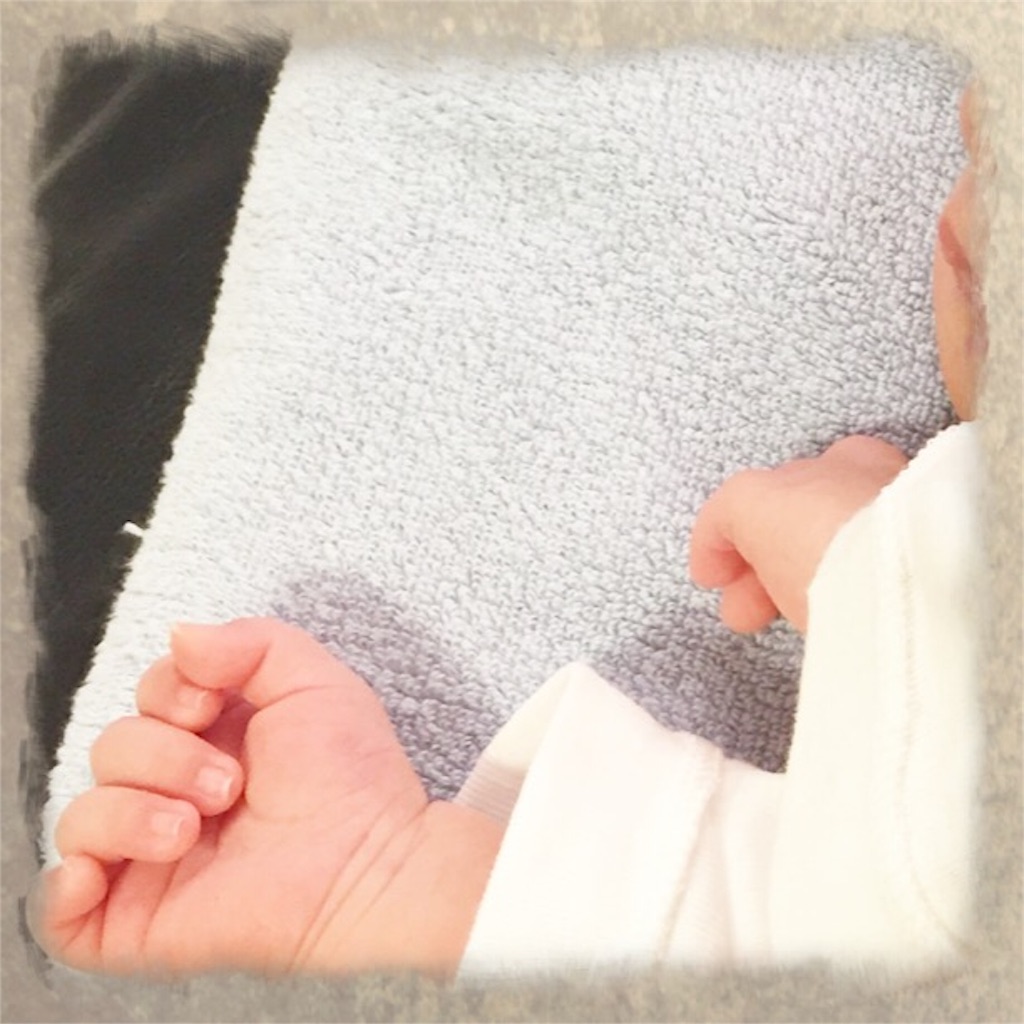 f:id:pamuchomu:20151117160958j:image f:id:pamuchomu:20151117160958j:image
