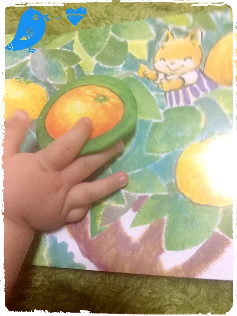 f:id:pamuchomu:20151119205550j:image f:id:pamuchomu:20151119205550j:image
