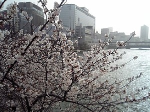 f:id:panda728:20060409002432j:image f:id:panda728:20060409002432j:image