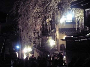 f:id:panda728:20060409003021j:image f:id:panda728:20060409003021j:image