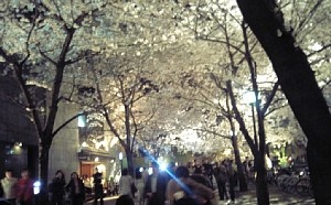f:id:panda728:20060409003053j:image f:id:panda728:20060409003053j:image