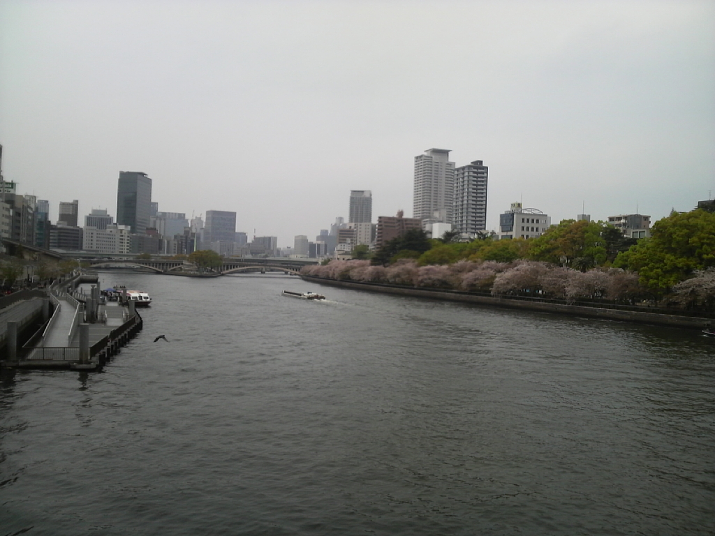 f:id:panda728:20110419122839j:image:w500 f:id:panda728:20110419122839j:image:w500