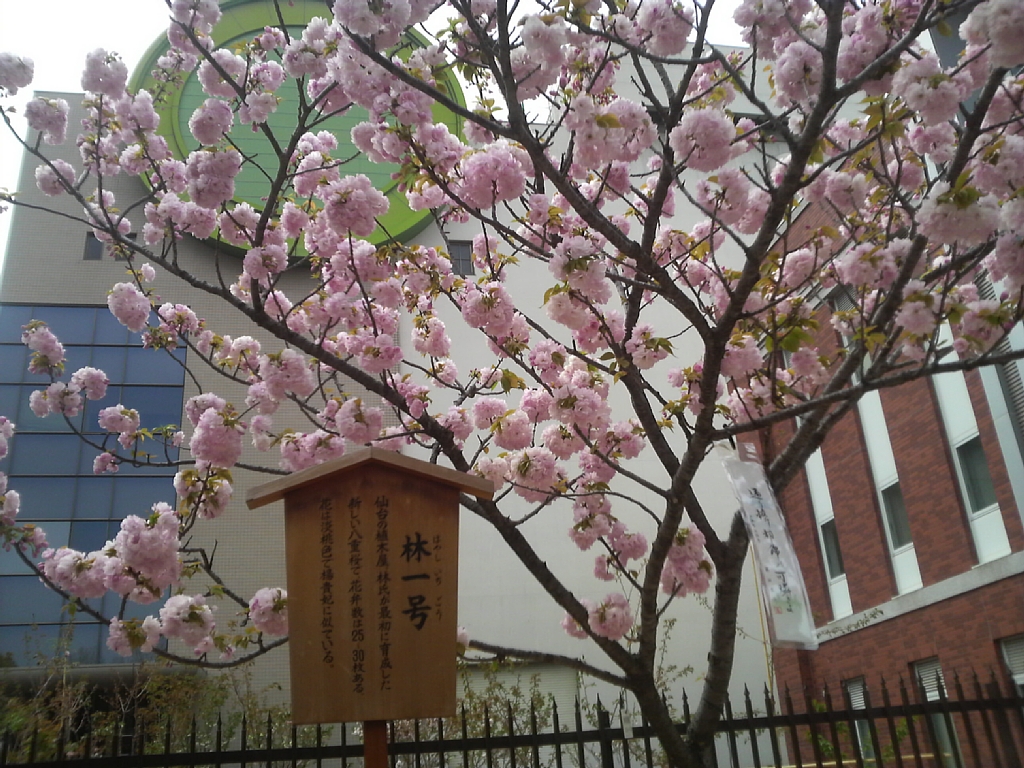 f:id:panda728:20110419122841j:image:w500 f:id:panda728:20110419122841j:image:w500
