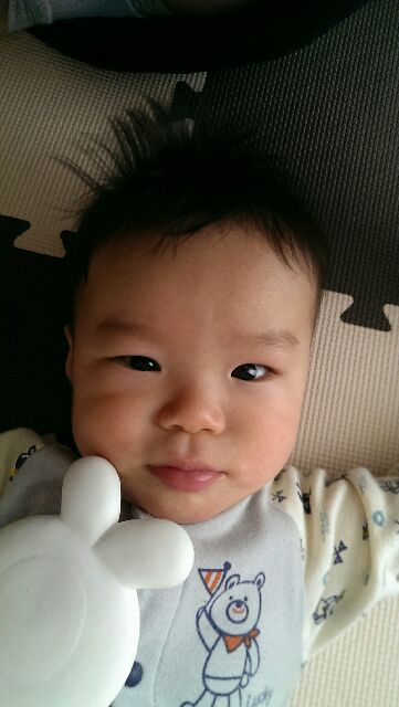 f:id:pandasun4:20141107201753j:image f:id:pandasun4:20141107201753j:image