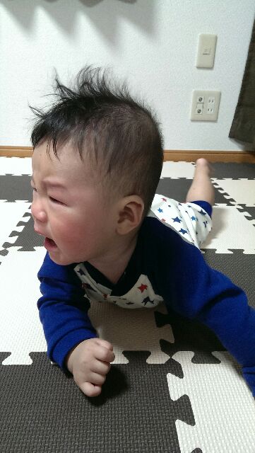 f:id:pandasun4:20141114194552j:image f:id:pandasun4:20141114194552j:image