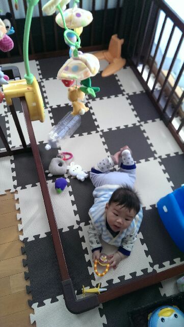 f:id:pandasun4:20141117212021j:image f:id:pandasun4:20141117212021j:image