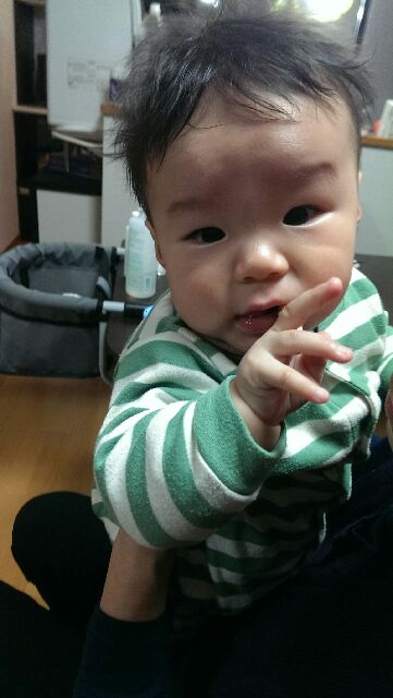 f:id:pandasun4:20141120210642j:image f:id:pandasun4:20141120210642j:image