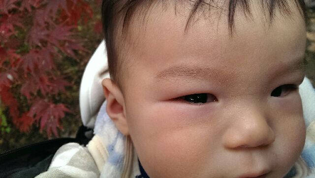 f:id:pandasun4:20141124195517j:image f:id:pandasun4:20141124195517j:image