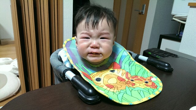 f:id:pandasun4:20141218194233j:image f:id:pandasun4:20141218194233j:image