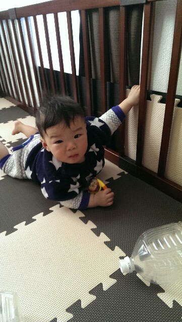 f:id:pandasun4:20141223195757j:image f:id:pandasun4:20141223195757j:image