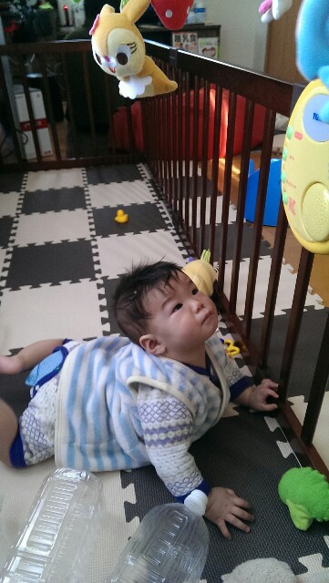 f:id:pandasun4:20141227204607j:image f:id:pandasun4:20141227204607j:image