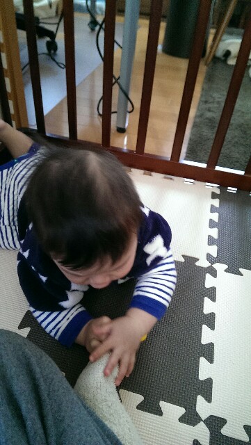f:id:pandasun4:20141228202633j:image f:id:pandasun4:20141228202633j:image