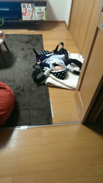 f:id:pandasun4:20150101201554j:image f:id:pandasun4:20150101201554j:image