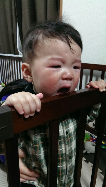 f:id:pandasun4:20150103202447j:image f:id:pandasun4:20150103202447j:image