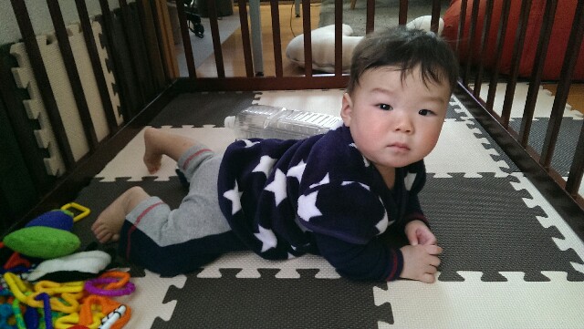 f:id:pandasun4:20150111201530j:image f:id:pandasun4:20150111201530j:image