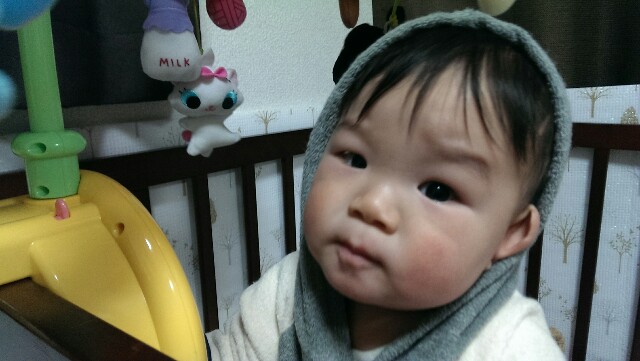 f:id:pandasun4:20150115191257j:image f:id:pandasun4:20150115191257j:image