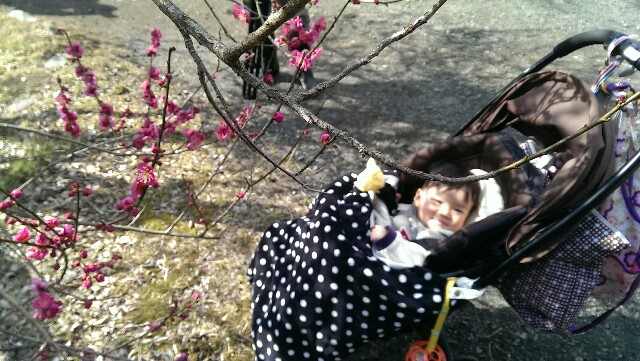 f:id:pandasun4:20150221200849j:image f:id:pandasun4:20150221200849j:image