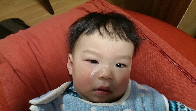 f:id:pandasun4:20150315220536j:image f:id:pandasun4:20150315220536j:image