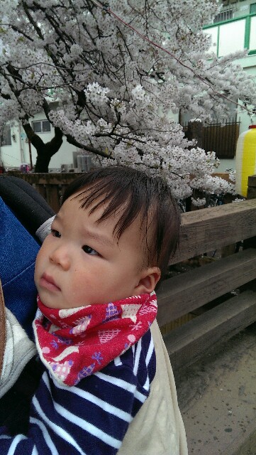 f:id:pandasun4:20150401204023j:image f:id:pandasun4:20150401204023j:image