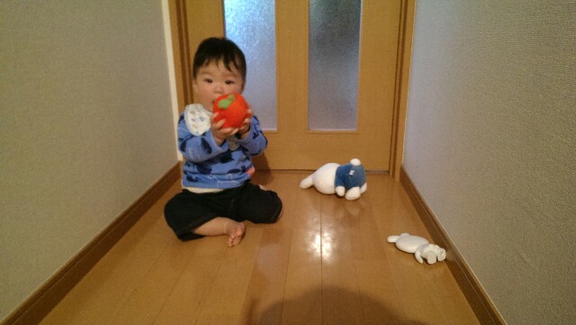 f:id:pandasun4:20150416175305j:image f:id:pandasun4:20150416175305j:image