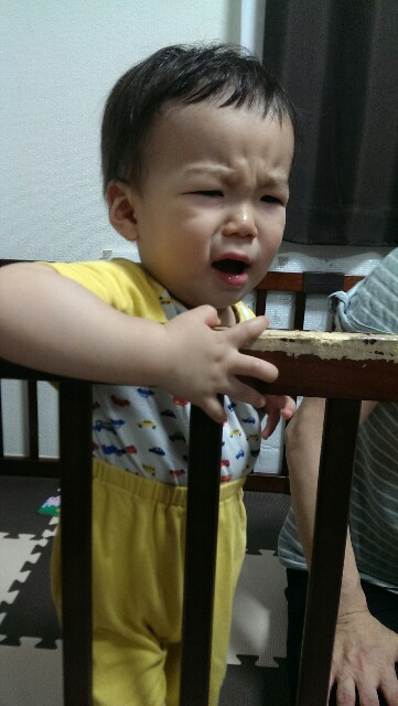 f:id:pandasun4:20150626192014j:image f:id:pandasun4:20150626192014j:image