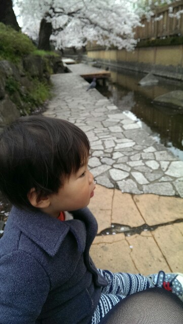 f:id:pandasun4:20160402192959j:image f:id:pandasun4:20160402192959j:image
