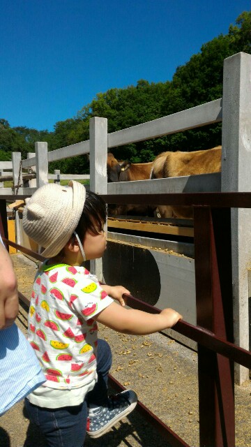 f:id:pandasun4:20160504200311j:image f:id:pandasun4:20160504200311j:image