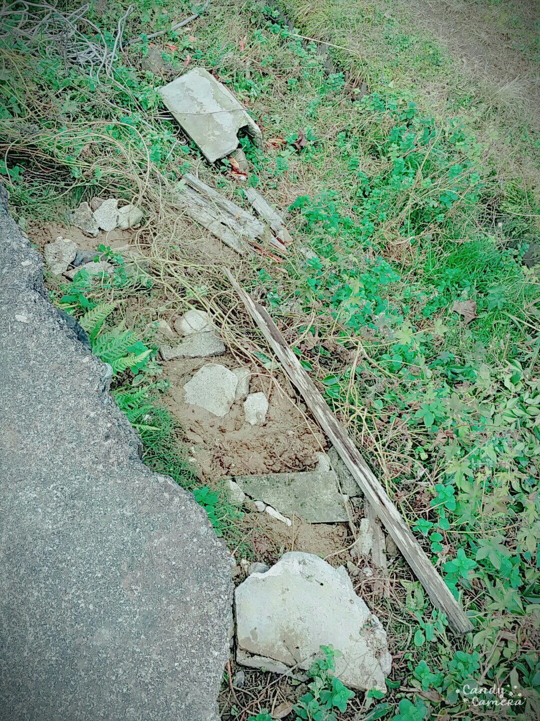 f:id:panyannya:20151206111244j:image f:id:panyannya:20151206111244j:image